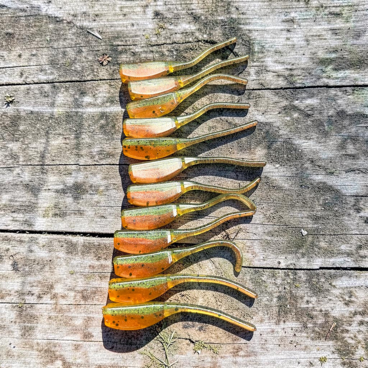 2.25” Crappie Minnow 12 Pack